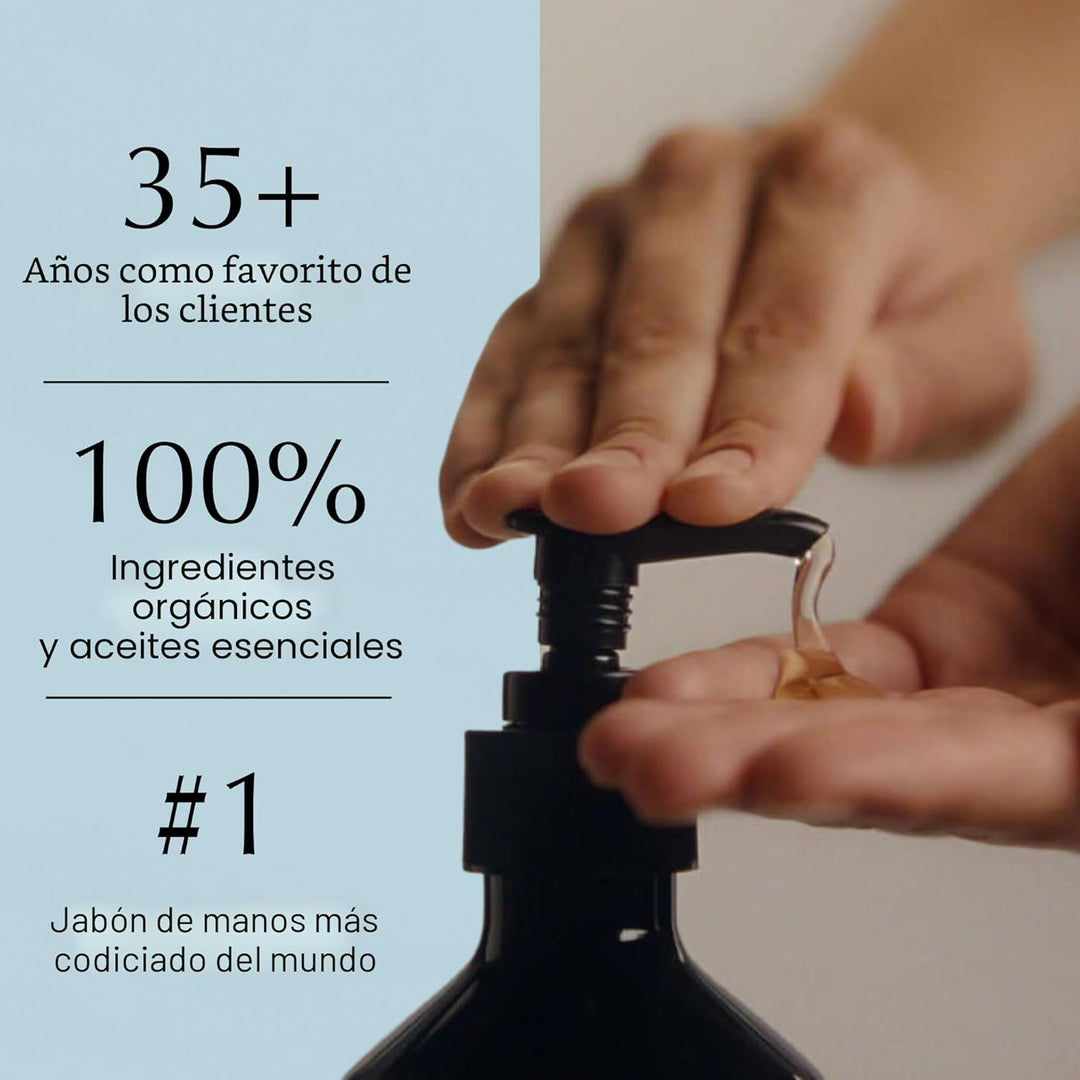 Aesop Reverence Aromatique - Jabón exfoliante de manos con piedra p...