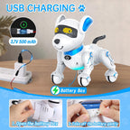Dwi Dowellin Perro Robot para Niños de 8-12, Perros Robóticos Inteligentes con Control Remoto Mascota Cachorro Juguete Robótico, Juguetes Interactivos de Tocar Caminar y Hablar para Niños y Niñas