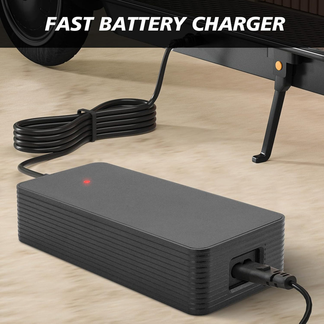 Cargador eléctrico de bicicleta de 546 V 2 A para batería