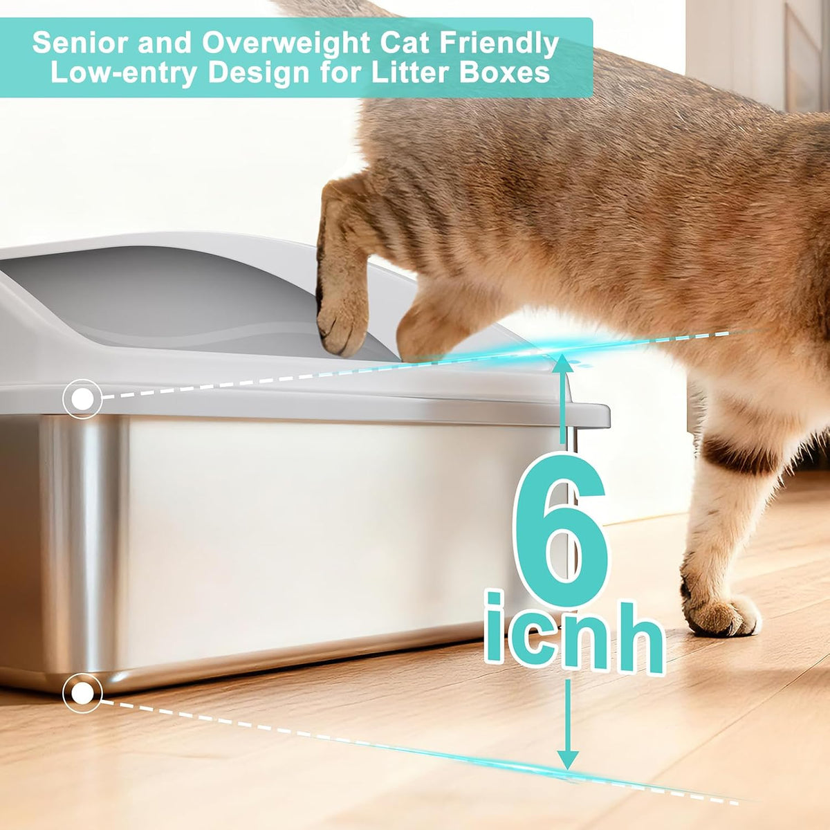 AIPERRO Caja de arena de acero inoxidable extra grande para gatos grandes y