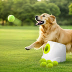 ALL FOR PAWS Lanzador automático de bolas para perros, juguete interactivo para perros medianos a grandes, máquina lanzadora de bolas recargable para mascotas para jugar al aire libre, 6 bolas de 2.5 pulgadas incluidas