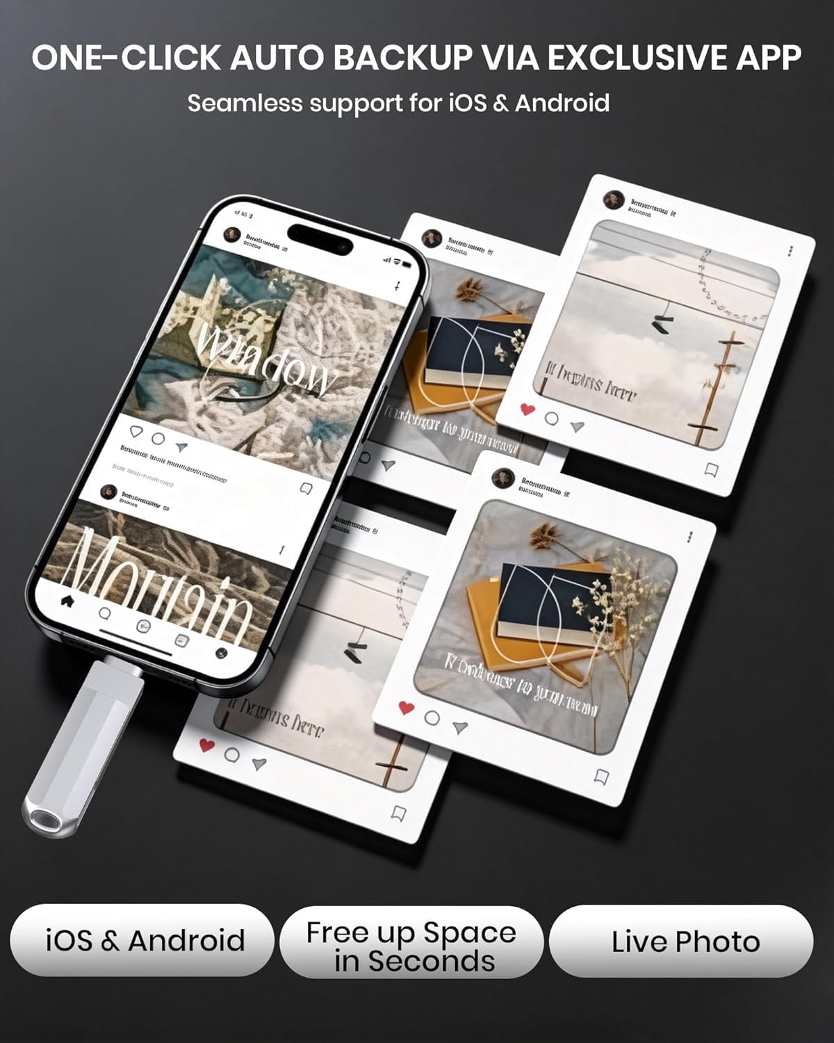 Unidad flash de 256 GB para iPhone\/iPad, USB-C Photo Stick con ada...