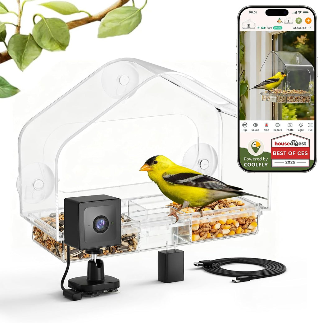 Comedero para pájaros con ventosas fuertes y cámara inteligente impermeable