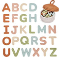 JoyCat Letras magnéticas del alfabeto de silicona, 26 minúsculas, Color apagado, Lowercase Letters