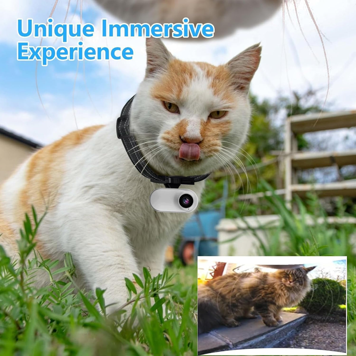 Collar de cámara HD 1080P para gatos con grabación de video, mini cámara deportiva inalámbrica, cámaras de acción pequeñas, cámara corporal para suministros de mascotas/cosas, regalo de