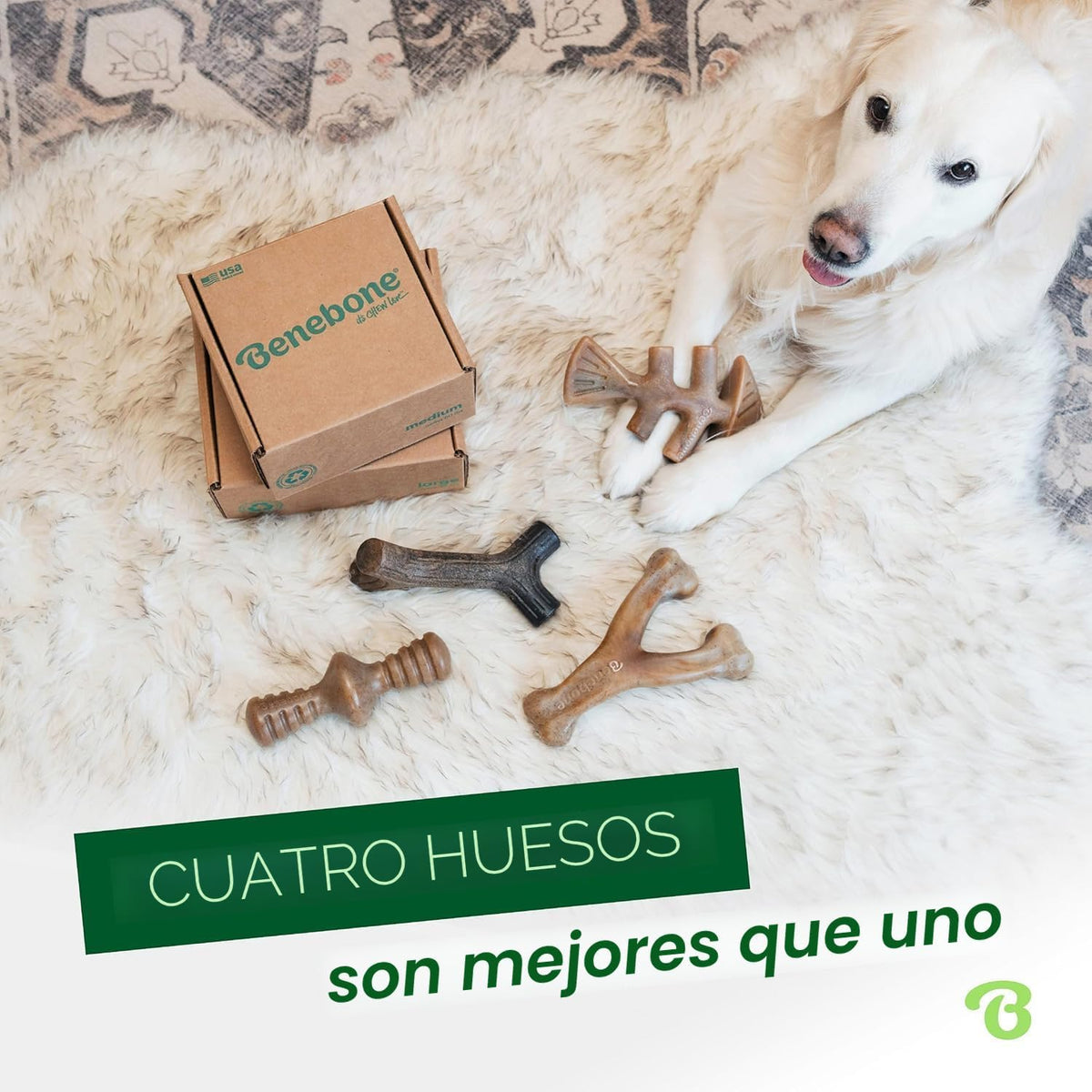 Benebone Medium 4-Pack Dog Toys para Aggressive Chewers – Under 60 lbs