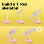 KiwiCo Dinosaur Fossil Dig Kit - Juguete de paleontología de esqueleto, para edades 6+