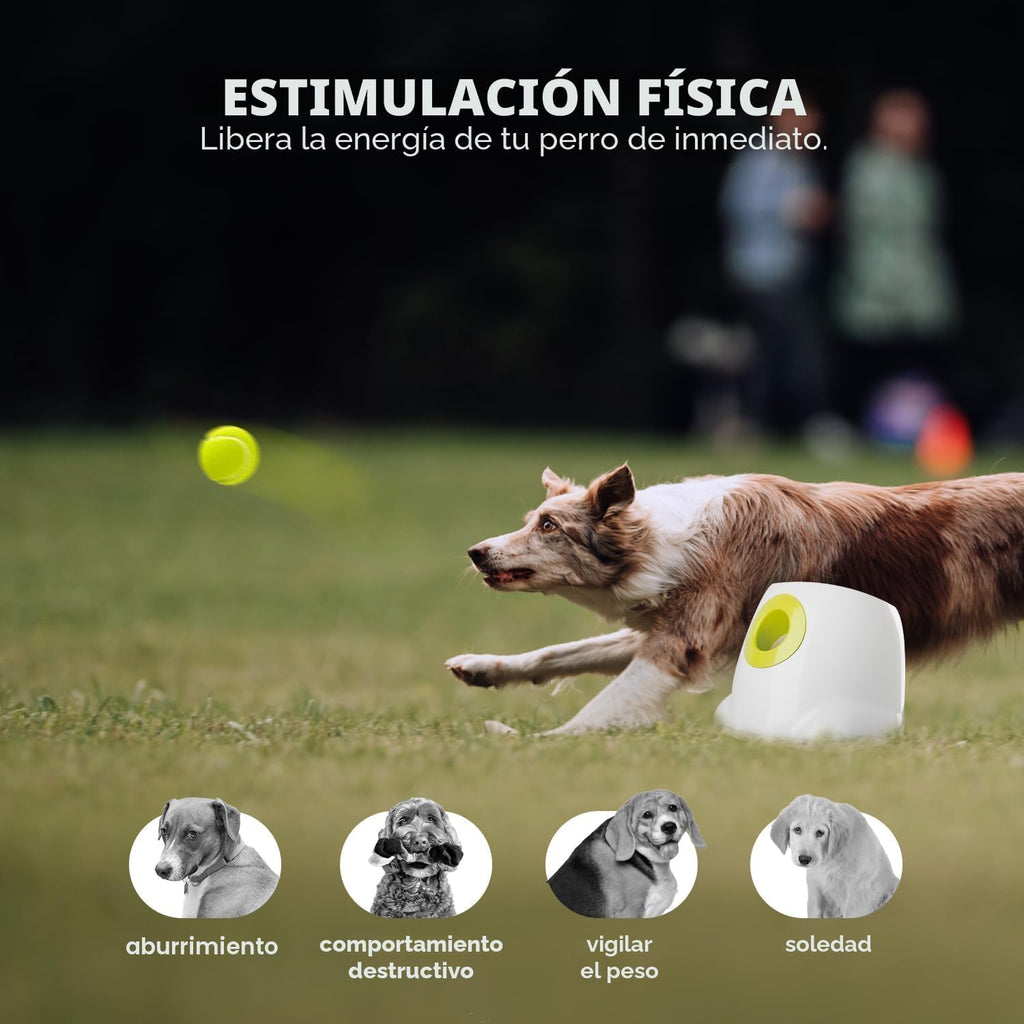ALL FOR PAWS Lanzador automático de bolas para perros, juguete interactivo para perros medianos a grandes, máquina lanzadora de bolas recargable para mascotas para jugar al aire libre, 6 bolas de 2.5 pulgadas incluidas