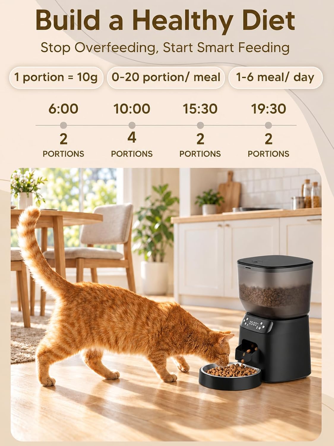 Alimentador automático para gatos y fuente de agua para gatos