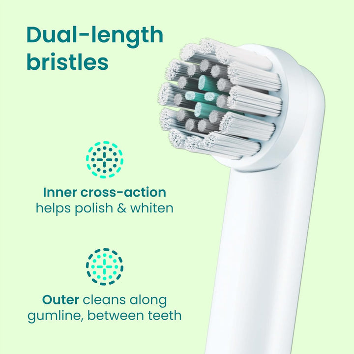 quip Rev - Cabezales de cepillo de dientes eléctricos oscilantes, p...
