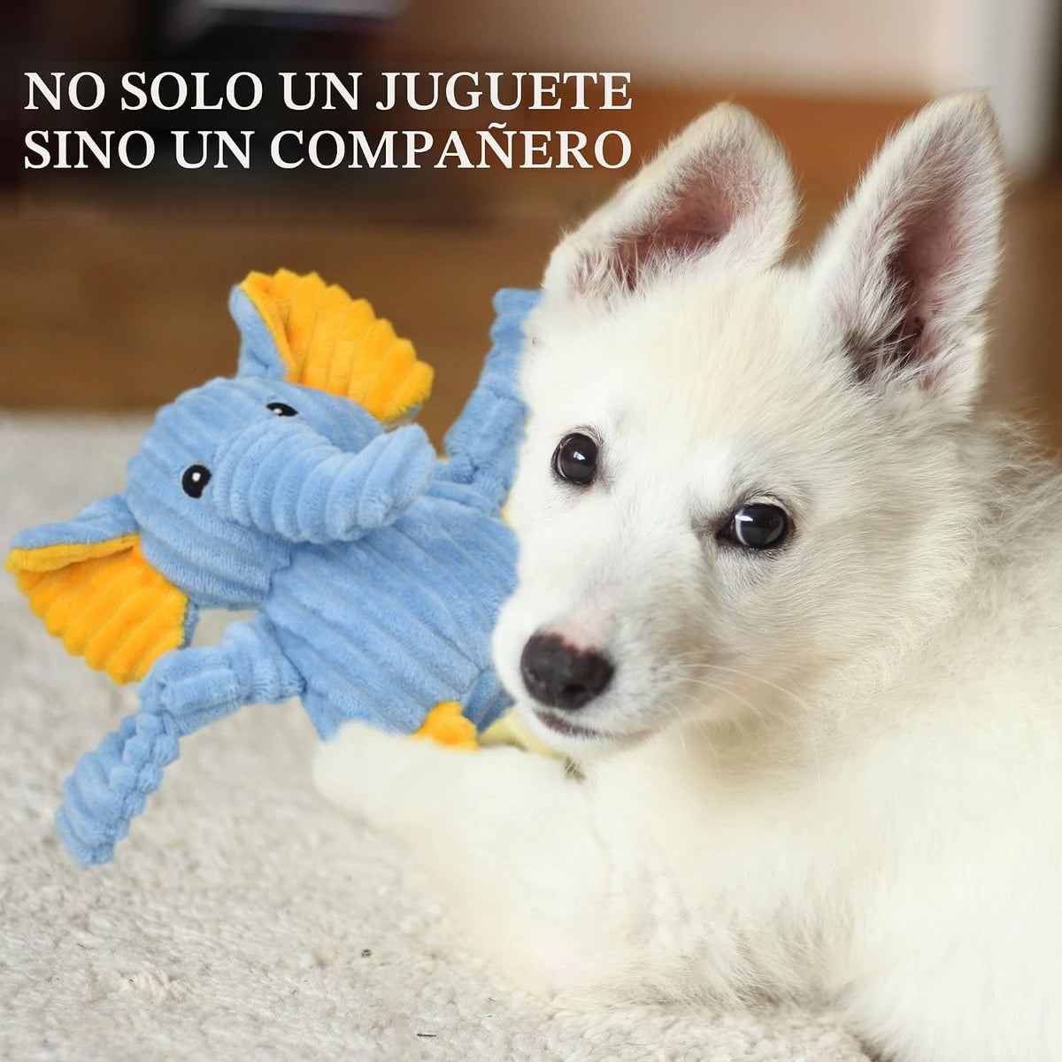LECHONG Paquete de 5 Juguetes Resistentes para Perros Rellenos Chirriantes Surtido de Juguetes de Peluche de Animales para Perros Paquete de Valor Juguetes para Cachorros y Mascotas para Perros