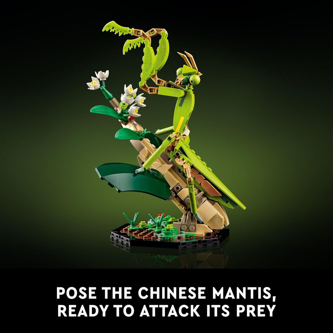 LEGO Ideas The Insect Collection - Regalo divertido para