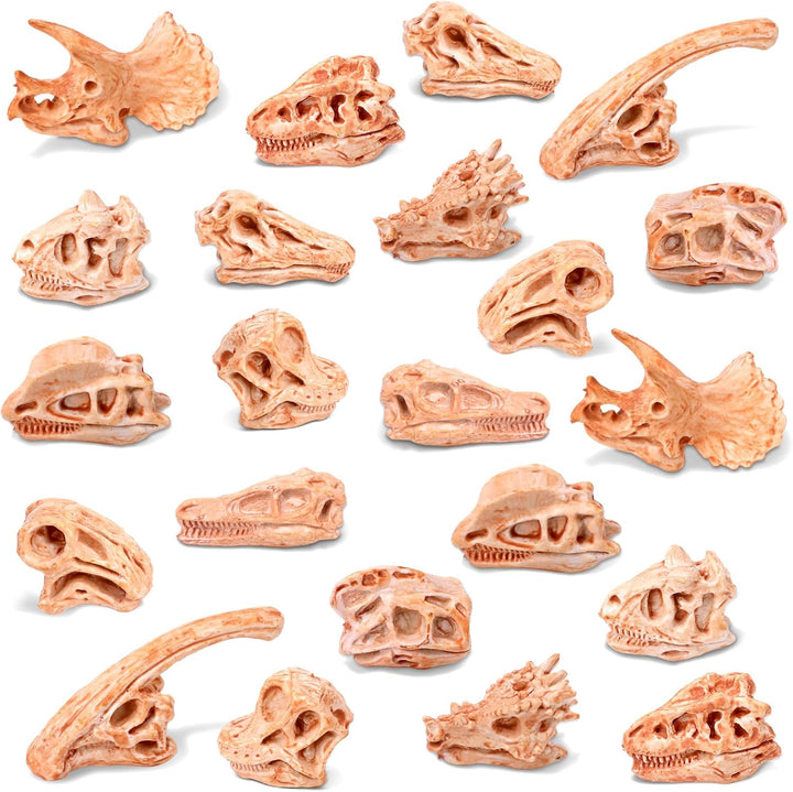 Zealor Hueso de dinosaurio de 24 piezas para caja de arena
