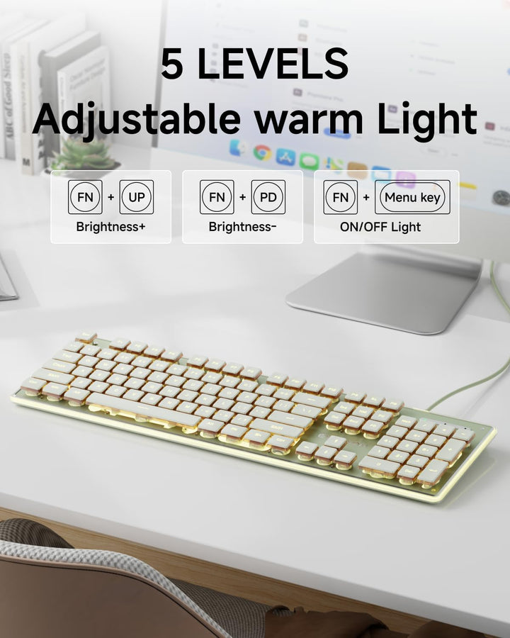 SEUNKWANG EWEADN GX710S Teclados Retroiluminados para Computadora,...
