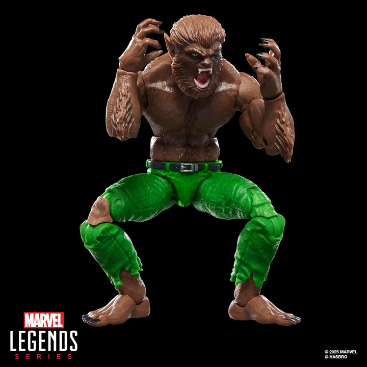 Serie Marvel Legends Hombre Lobo de la Noche Figura de