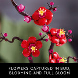 LEGO Botanicals - Juegos de construcción de flores de