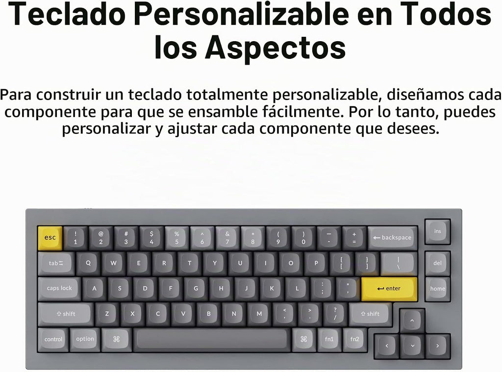 Keychron Q2 Teclado mecánico personalizado con cable, macro programable QMK/VIA, aluminio completo, interruptor rojo Gateron G Pro intercambiable en caliente, 65% de diseño de junta doble compatible