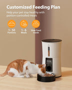 Alimentador automático para gatos con temporizador - Dispensador de