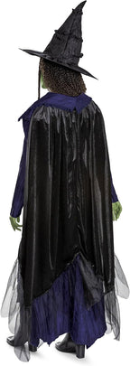 Disguise Wicked Elphaba - Disfraz de lujo para adultos, con licencia oficial para un buen disfraz de mujer