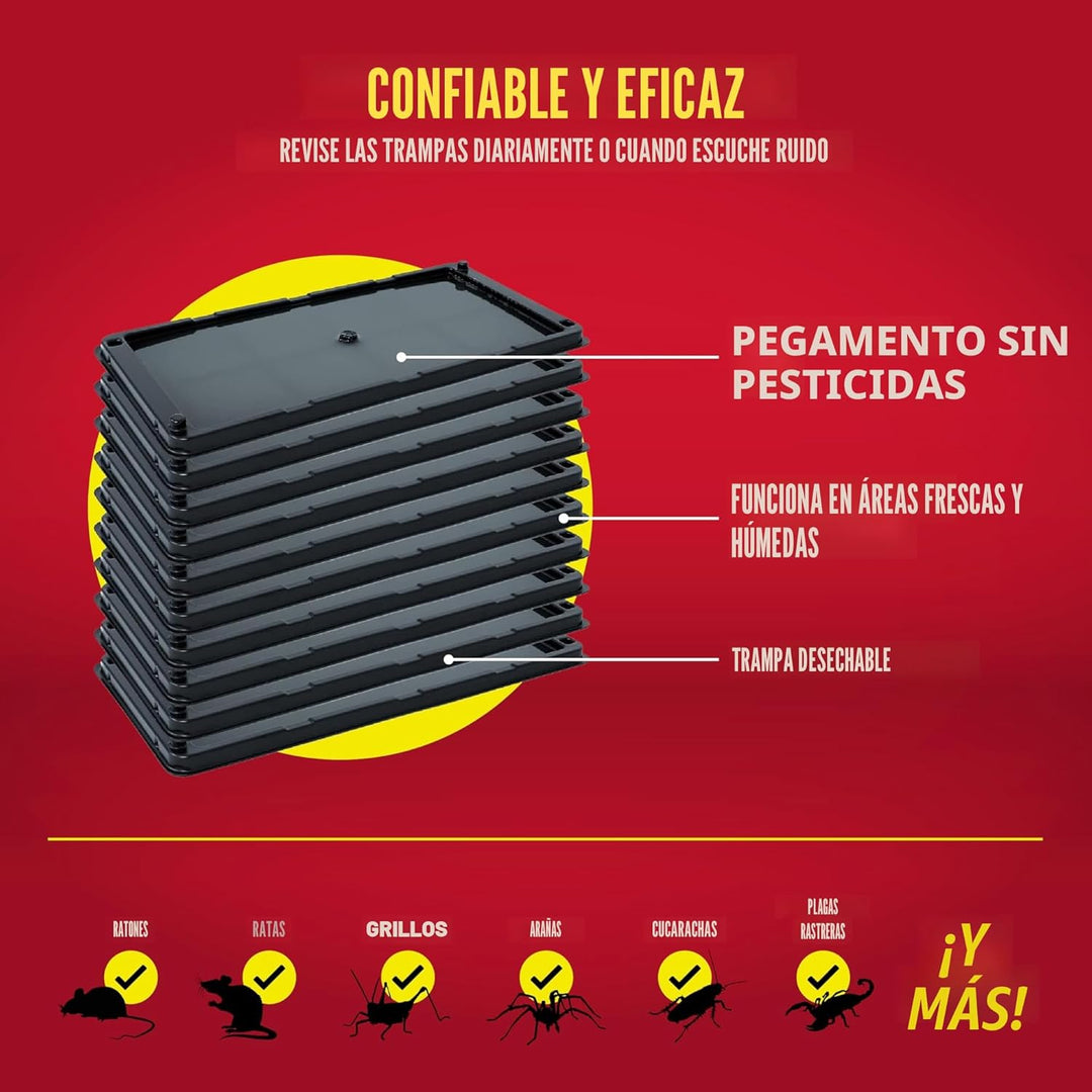 Catchmaster - Trampas para ratas, serpientes y ratones 10Pk, grande...
