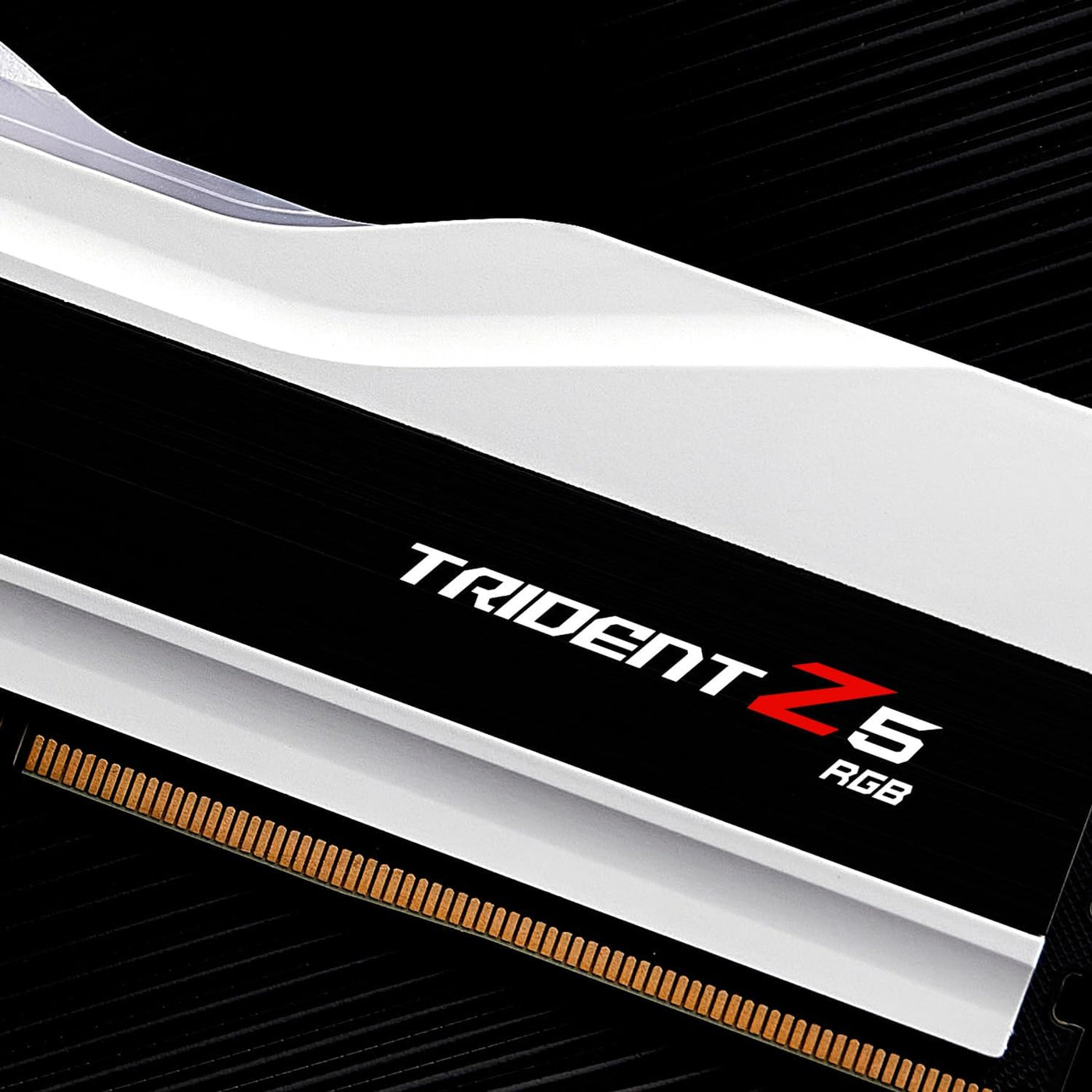 G.SKILL Trident Z5 RGB Series DDR5 RAM (Intel XMP 3.0 &amp; AMD Exp...