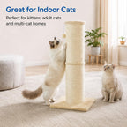 Poste rascador para gatos con poste de sisal de 5.5 pulgadas de