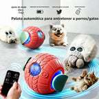 Nicoypole - Pelota de juguete automática inteligente para gatos y perros, juguete eléctrico interactivo recargable para mascotas, control remoto, pantalla LCD, canción de pájaro integrada, juego de