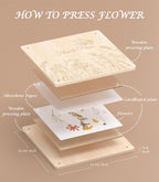 Kit de prensa de flores Wakhow – 27.9 cm x 27.9 cm Prensa de flores grande de madera para adultos y adolescentes | Elaboración de ramos de flores DIY y arte con flores secas | Regalo ideal para