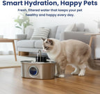 PawsPik Fuente de agua automática inalámbrica para perros y gatos, acero