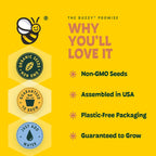 Buzzy Seeds - Vasos de bola de semillas de flores silvestres, paquete de 6