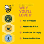 BUZZY Kit de cultivo de girasol de semillas, paquete de 12, macetas de