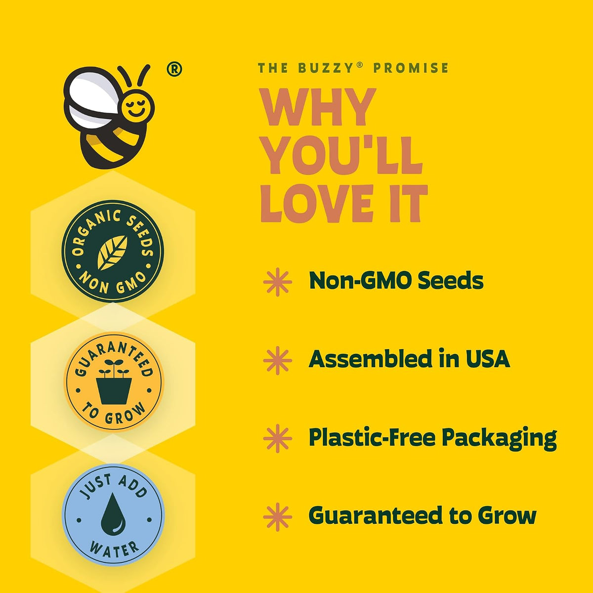 BUZZY Kit de cultivo de girasol de semillas, paquete de 12, macetas de