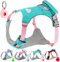 Chaleco de arnés para perro Airtag sin tirones con asa y bolsillo para