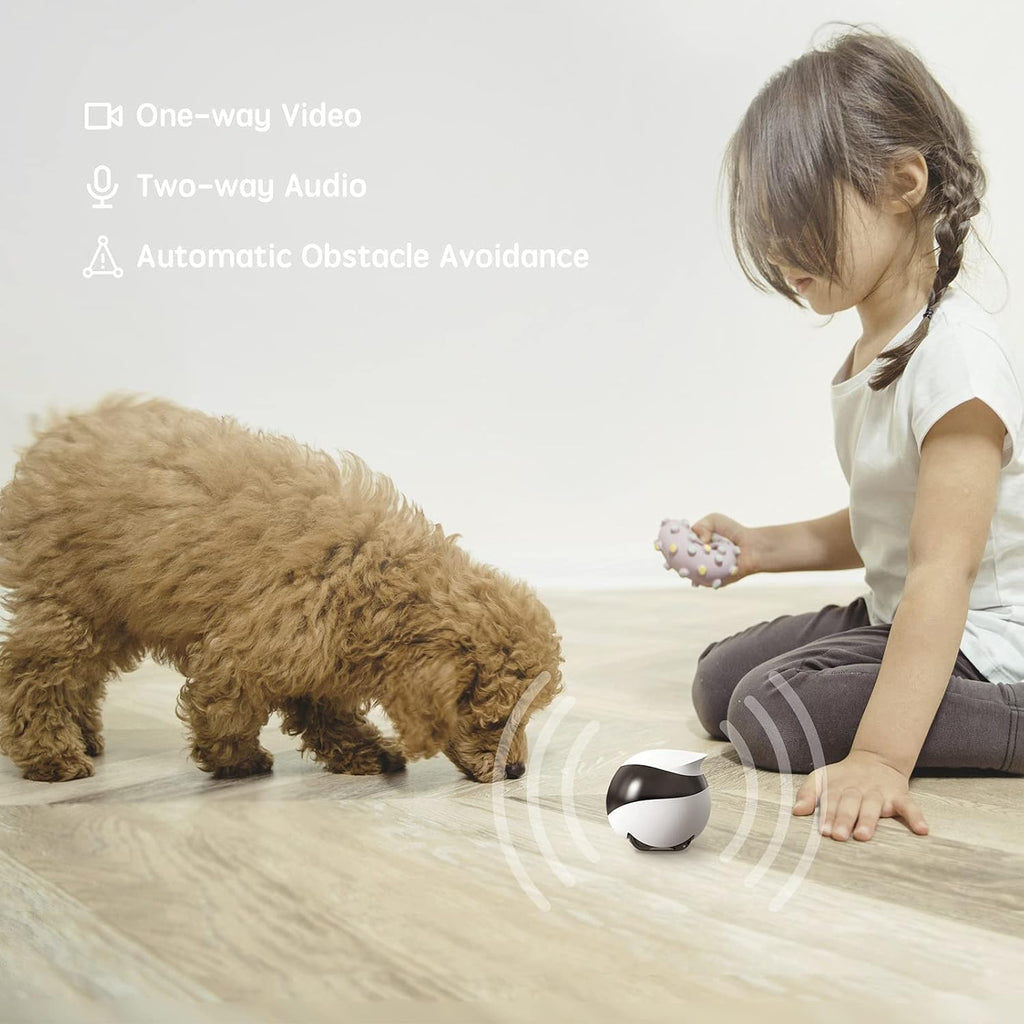 Enabot EBO SE Robot doméstico con cámara: 1080P Mobile FamilyBot Compañero para mascotas