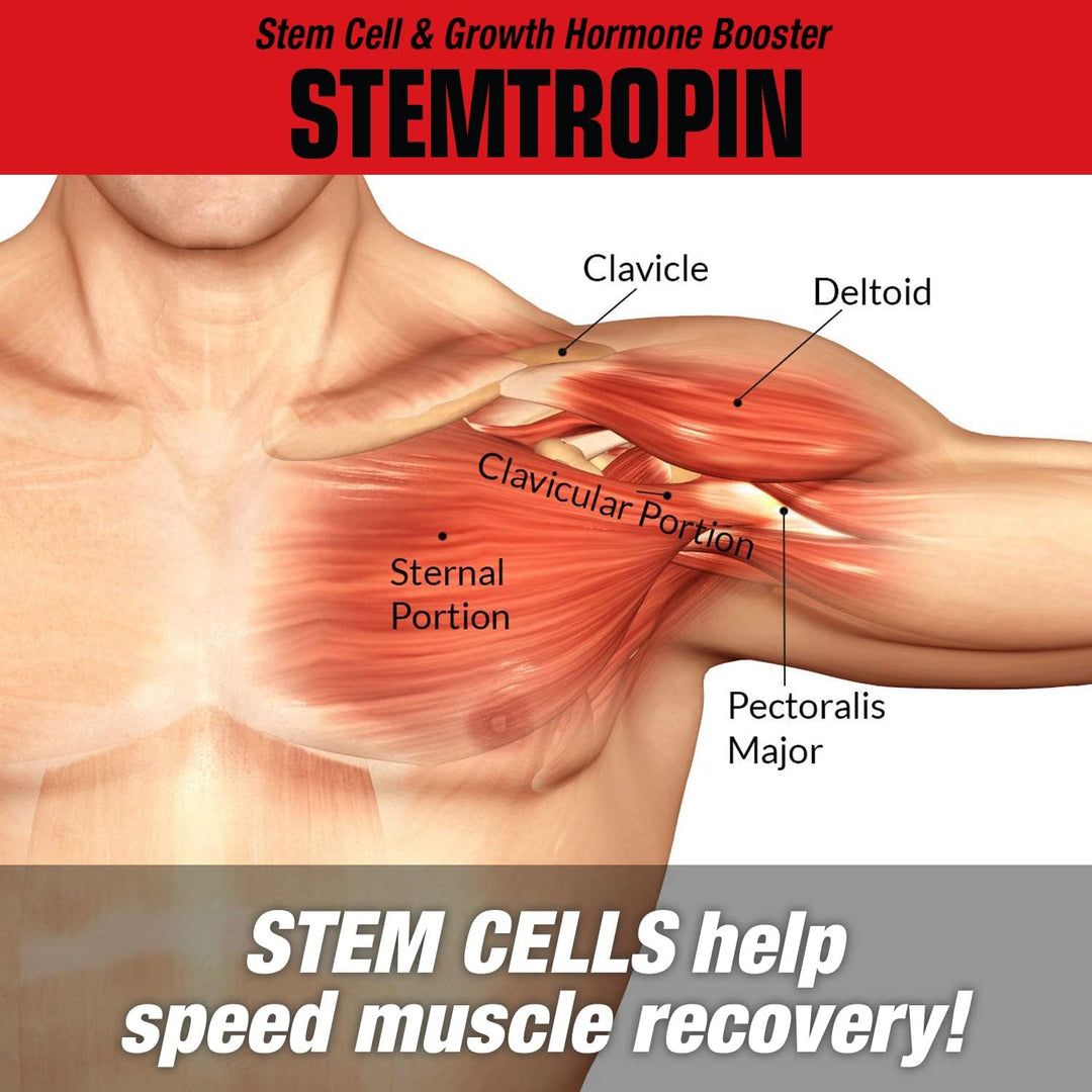 MuscleMeds STEMTROPIN - Refuerzo de células madre y factor de creci...