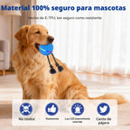 Pelota interactiva inteligente de juguetes para perros para masticadores