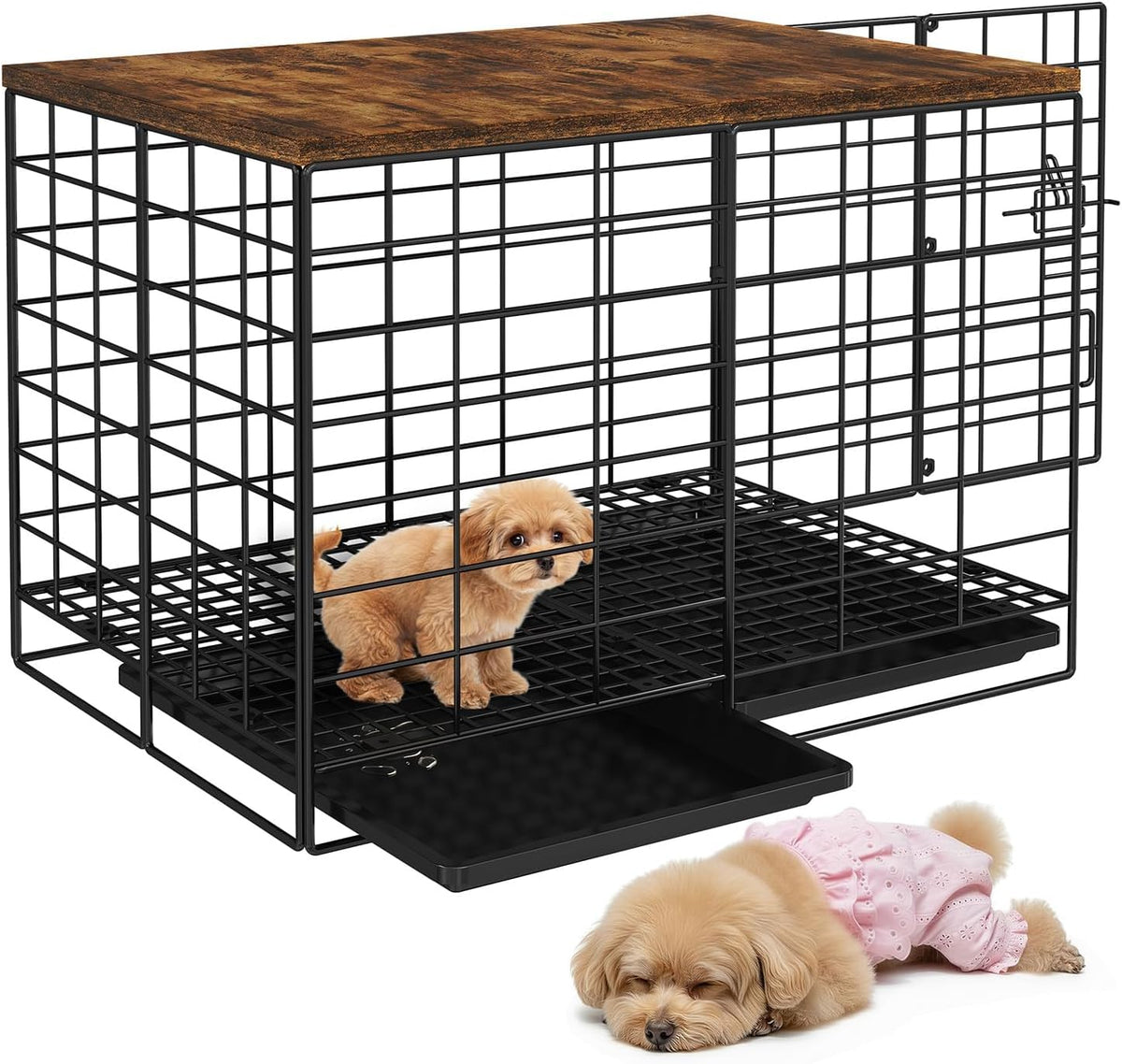 Jaula para perros pequeños de 24 pulgadas, jaula para perros pequeños y