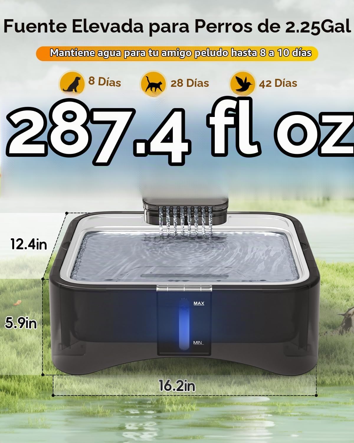 UPSKY Fuente de agua elevada para perros de 2.25 galones, fuente para mascotas con 4 alturas ajustables para todos los tamaños de perros, dispensador de agua para gatos en interiores con bandeja de