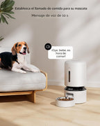 PETLIBRO Alimentador automático para gatos