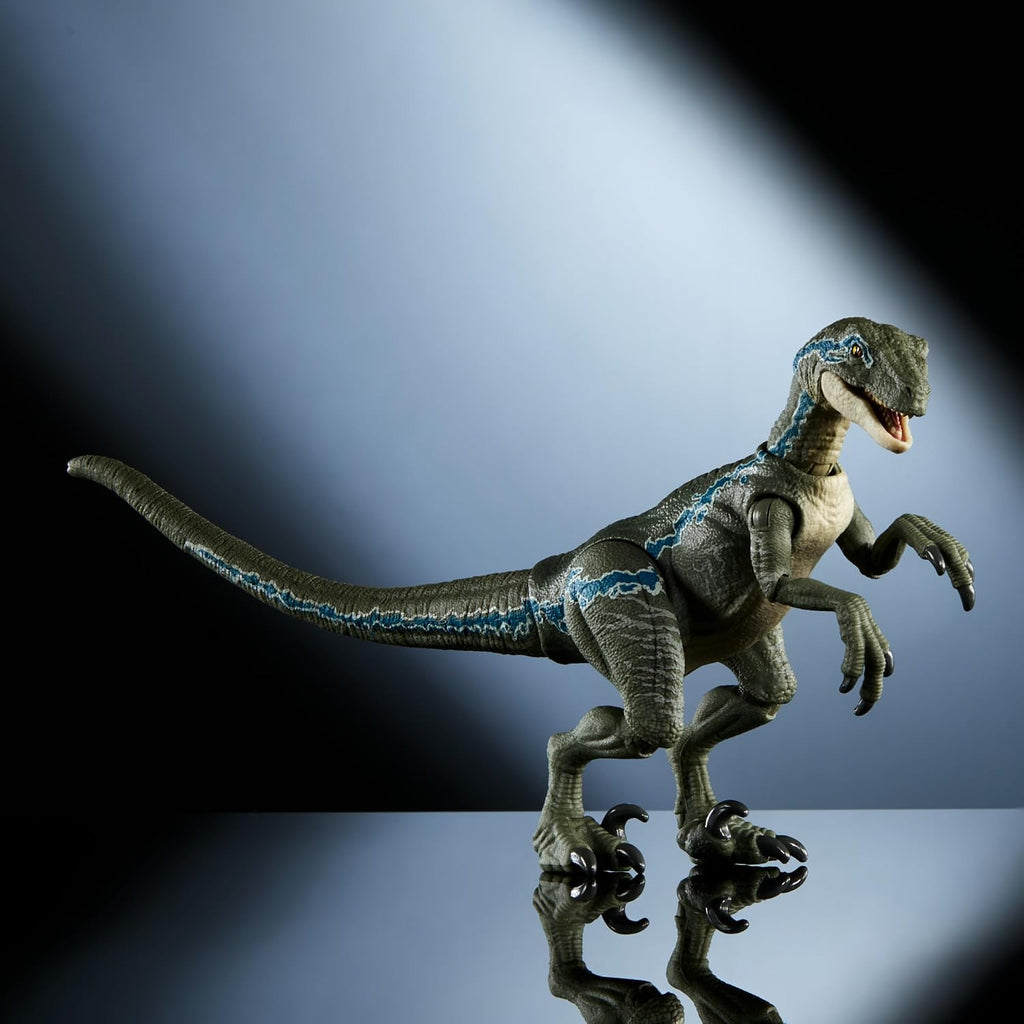 Mattel Jurassic World Hammond Collection - Figura de acción de dinosaurio, velociraptor 'azul' dinosaurio juguete con articulación