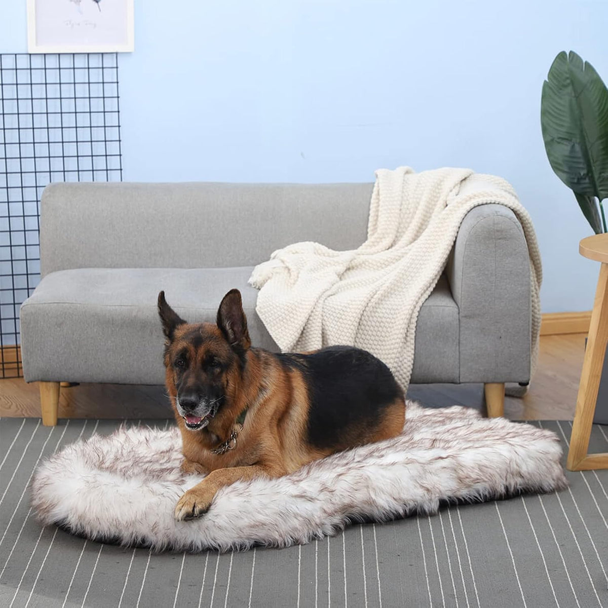 Laifug - Cama para perro de piel sintética de lujo, espuma viscoelástica de