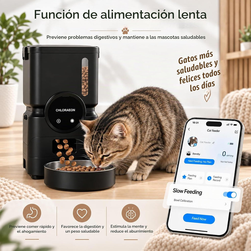 Alimentador automático para gatos para 3 gatos, dispensador de alimentación