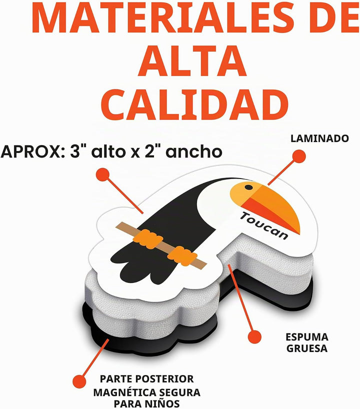 El Curioso Colón Objetos magnéticos y letras. Juego de 78 imanes de...