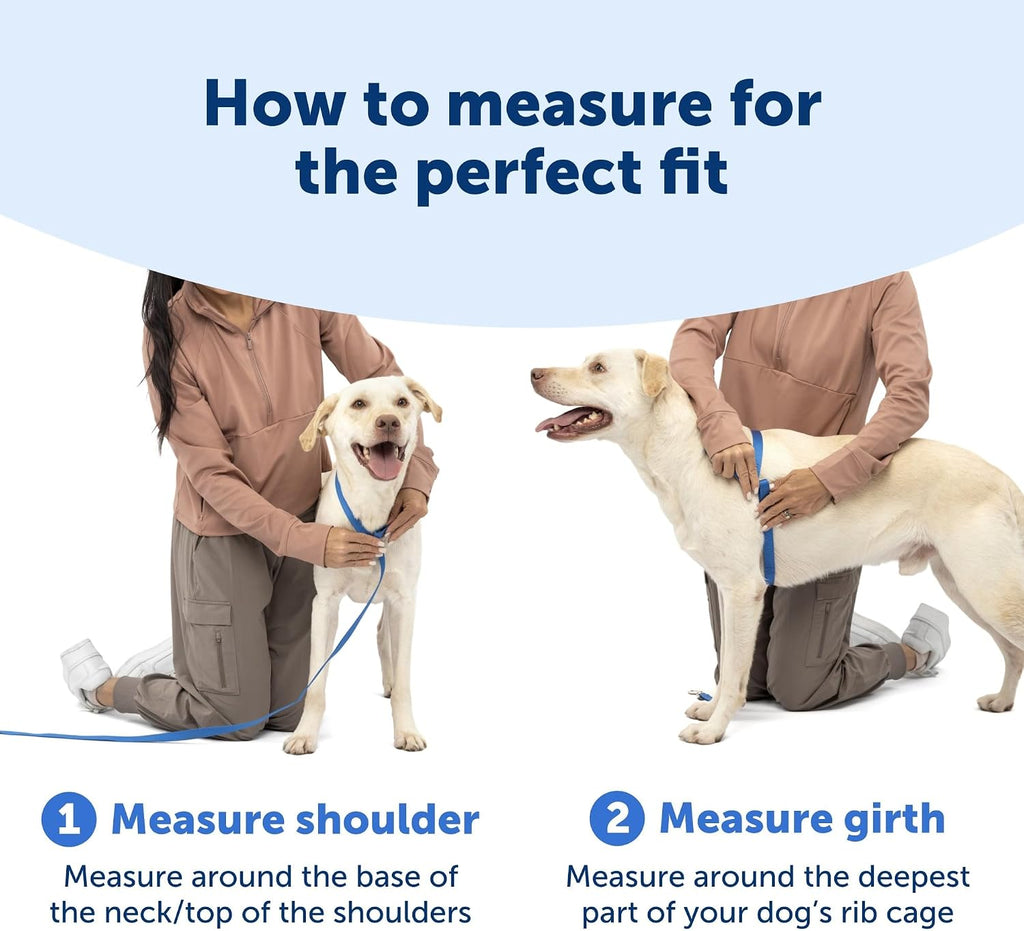 PetSafe Easy Walk Comfort - Arnés para perro sin tirones, color verde