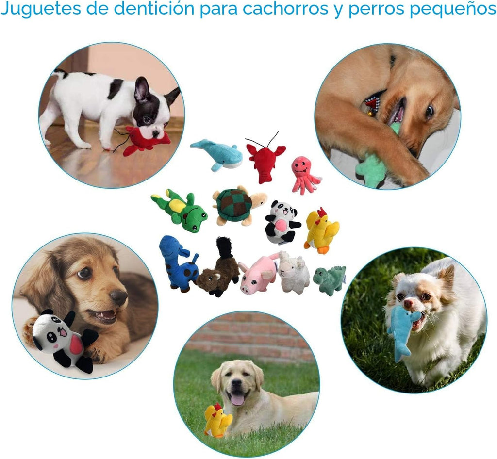 LEGEND SANDY Paquete de juguetes de peluche chirriantes para cachorros, juguetes masticables pequeños para cachorros, 12 juguetes para perros a granel con chirriantes, lindo juguete suave para