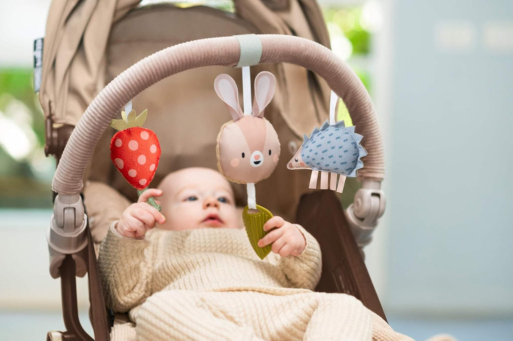 Taf Toys Arco de actividad: ideal para bebés y niños pequeños, se adapta a cochecito y cochecito, estimula los sentidos del bebé, más fácil al aire libre (arco de conejo musical)