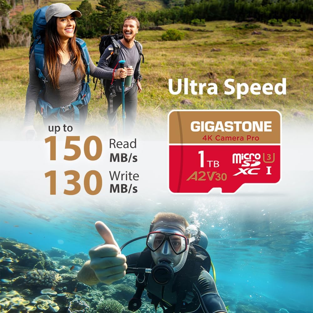 Recuperación de datos de 5 años: tarjeta micro SD de 1 TB GIGASTONE...