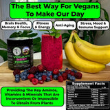 Vegan's Best Friend - Multivitamínico a base de plantas para ho...