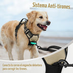 rabbitgoo Arnés para perro, sin tirones para perros grandes con 2 clips