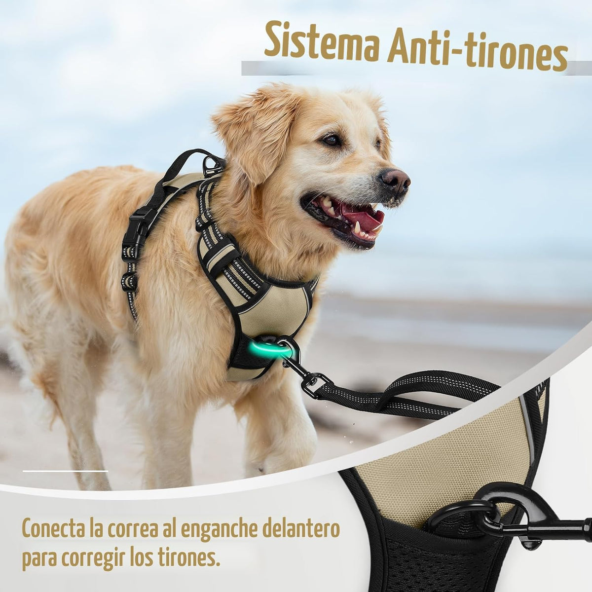 rabbitgoo Arnés para perro, sin tirones para perros grandes con 2 clips